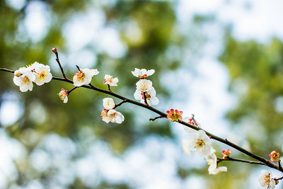 中央財經大學在職研究生 中央財經大學在職研究生