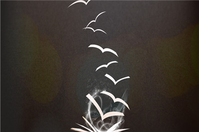 中央財(cái)經(jīng)大學(xué)在職研究生上課方式 中央財(cái)經(jīng)大學(xué)在職研究生上課方式