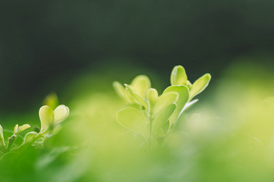 中央財(cái)經(jīng)大學(xué)在職研究生學(xué)費(fèi) 中央財(cái)經(jīng)大學(xué)在職研究生學(xué)費(fèi)