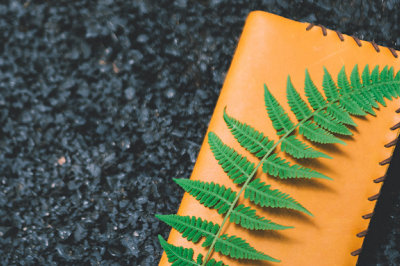 中央財(cái)經(jīng)大學(xué)在職研究生 中央財(cái)經(jīng)大學(xué)在職研究生