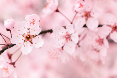 中央財(cái)經(jīng)大學(xué)在職研究生學(xué)制 中央財(cái)經(jīng)大學(xué)在職研究生學(xué)制