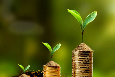 中央財經大學在職研究生