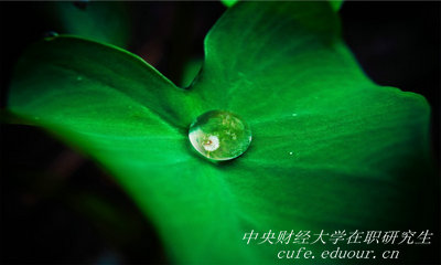 報(bào)考中央財(cái)經(jīng)大學(xué)在職研究生能升職嗎？