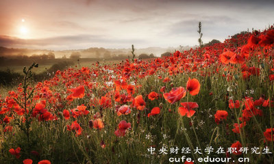 2018年免試入學的中央財經(jīng)大學在職研究生單位認可嗎？