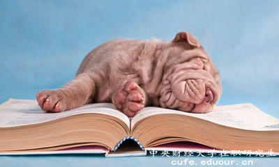 公務員有必要報考中央財經(jīng)大學雙證在職研究生嗎？