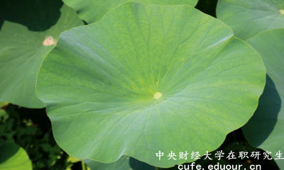 2018年中央財(cái)經(jīng)大學(xué)在職研究生可以獲得雙證嗎？