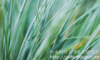 中財在職研究生申碩方式有哪些？