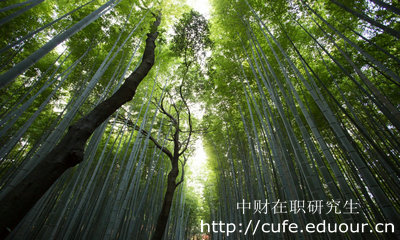 中財人力資源管理在職研究生學制幾年？