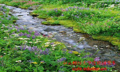 中央財經(jīng)大學(xué)在職研究生都是單證嗎？