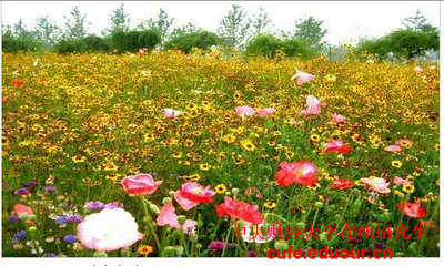 2018年中央財經大學投資學在職研究生招生嗎？