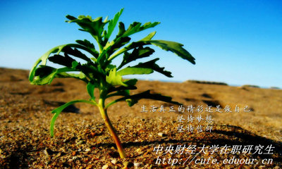 中央財(cái)經(jīng)大學(xué)在職研究生同等學(xué)力申碩有哪些優(yōu)勢(shì)？